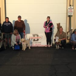 Wag Between Barks - Wag Between Barks is committed to helping dogs and their companions  learn training methods that are Force Free and backed by science.