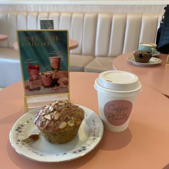 Coffee and Plants - Mocha and almond cherry muffin - Coffee & Tea Near Me - Studio City, California Coffee and Plants - Mocha and almond cherry muffin - Coffee & Tea Near Me - Studio City, California