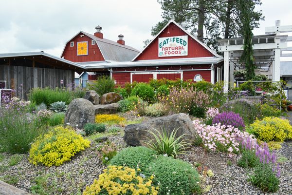 Blooming Junction Garden Center and Farm Market by null