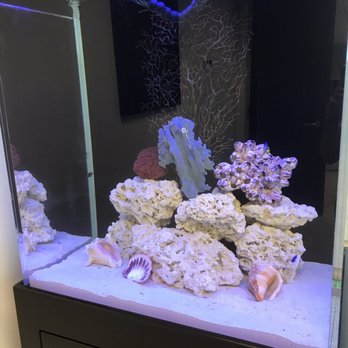 Oceans Aquarium Design - So beautiful! - Aquarium Services Near Me - Signal Hill, California