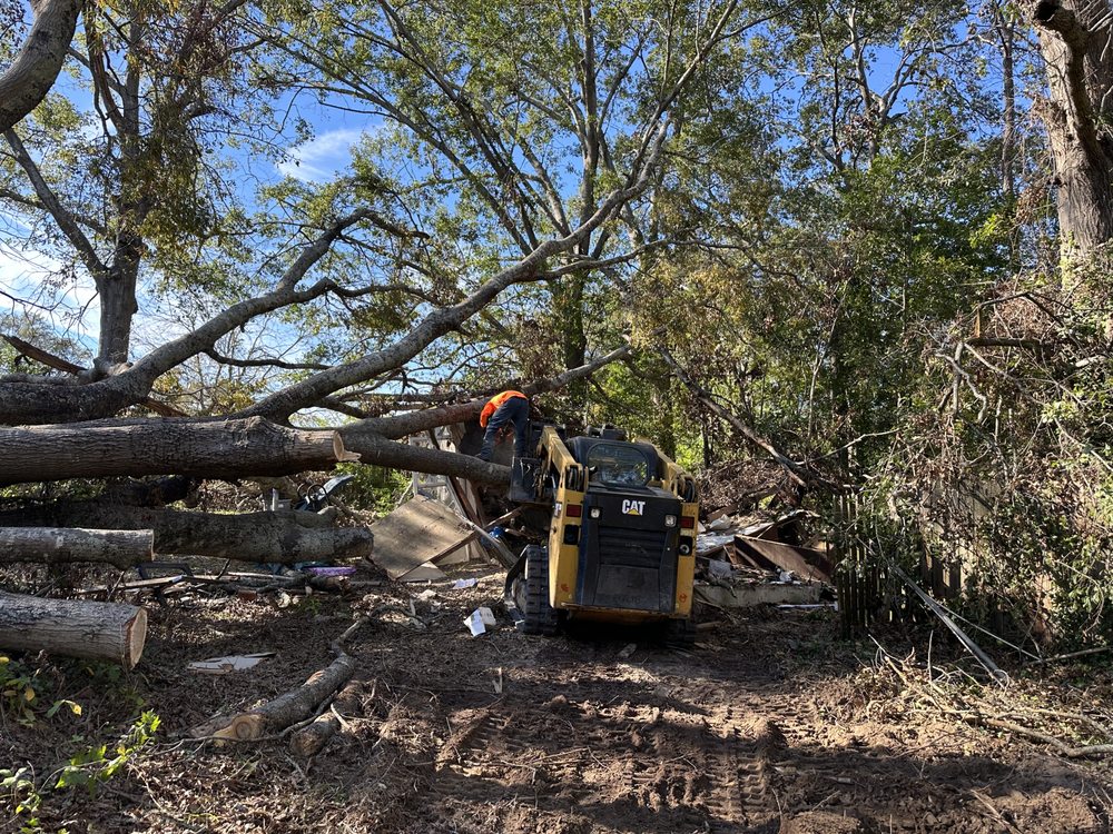 LBA Farms - tree service in Gilbert, SC