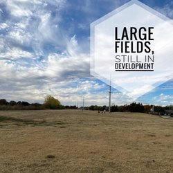 Bluebonnet Park - field