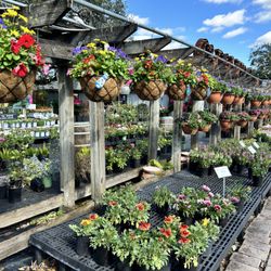 Palmer's Garden & Goods
