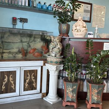 Modern Image - Beautiful fish and front area - Hair Salons Near Me - Milpitas, California Modern Image - Beautiful fish and front area - Hair Salons Near Me - Milpitas, California