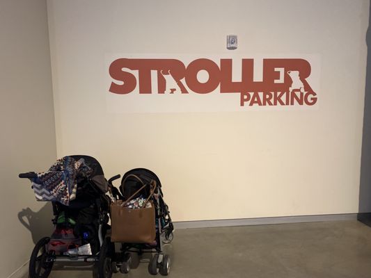 MUSEUM OF NATURAL CURIOSITY - 129 Photos & 85 Reviews - Museums - 3605