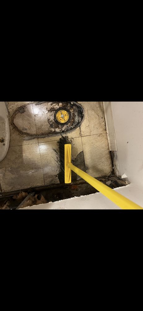 Slide of Green Apple Mechanical