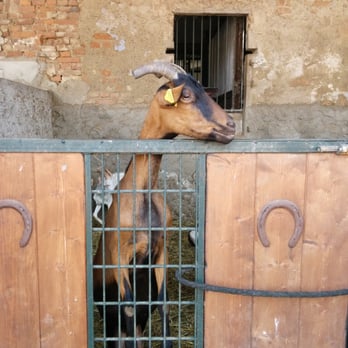 Cascina Caldera - Kids Activities Near Me - Milan, Michigan