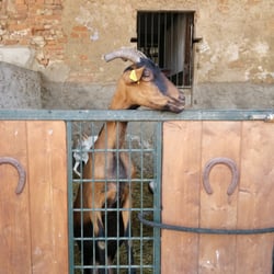 Cascina Caldera