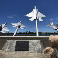 Aloha Aina Patriotism Park - #DuffyontheGo