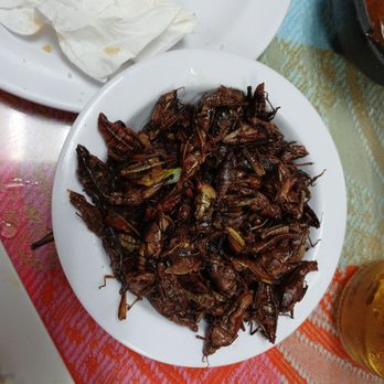 Flor De Oaxaca - chapulines,enchiladas, quesadillas - Mexican Near Me - Santa Ana, California Flor De Oaxaca - chapulines,enchiladas, quesadillas - Mexican Near Me - Santa Ana, California
