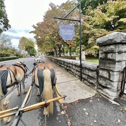 Lexington Carriage - Keats and Yeats are on your side / A dreaded sunny day / So I meet you at the cemetery gates