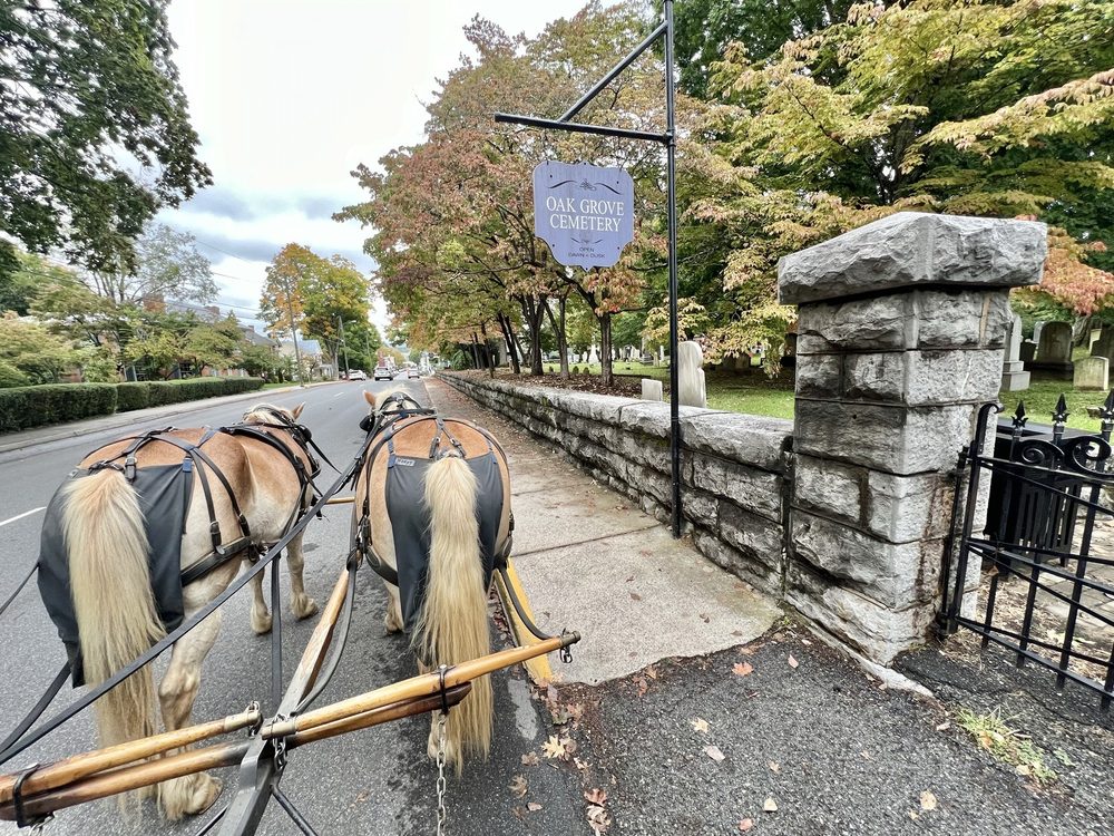 Lexington Carriage