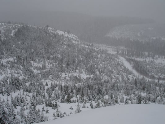 Mount Washington Alpine Resort by null