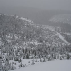 Snowing on the snoeshoeing day.
