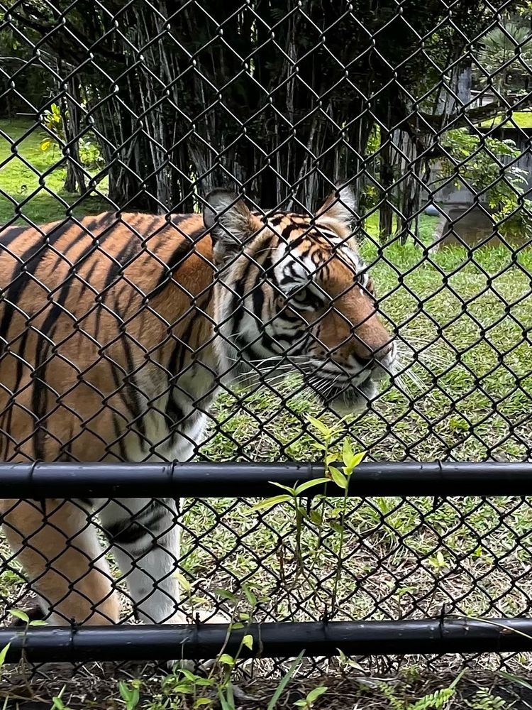 PANA’EWA RAINFOREST ZOO & GARDENS Updated November 2024 780 Photos