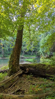 John Bryan State Park by null