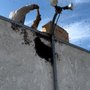 Photo of BuzzawaySD