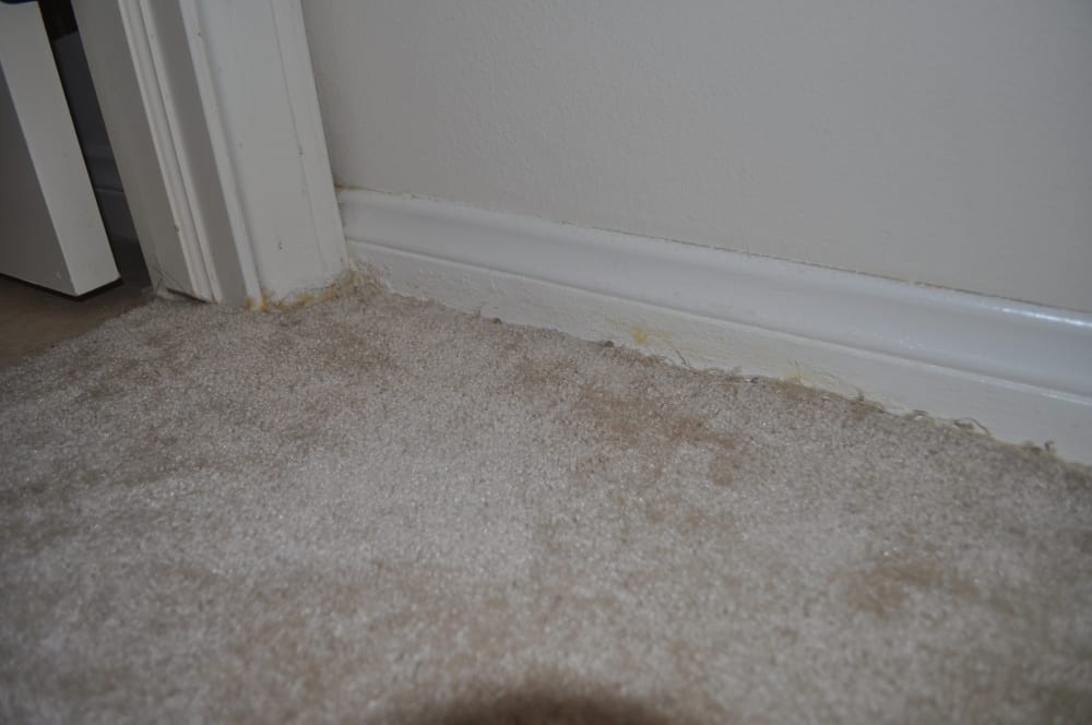 LA PROVIDENCIA APARTMENTS Updated August 2024 20 Reviews 10620 Whipple St, Toluca Lake