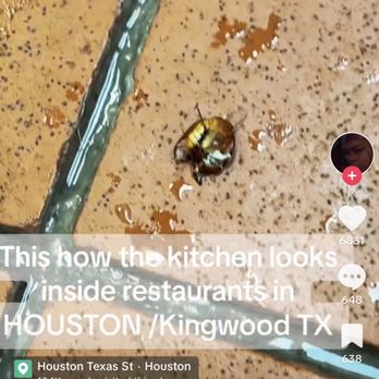 Big City Wings - Dirty Kitchen @chelseawheeler88 exposed this place. Bugs and more - Chicken Wings Near Me - Kingwood, Texas Big City Wings - Dirty Kitchen @chelseawheeler88 exposed this place. Bugs and more - Chicken Wings Near Me - Kingwood, Texas
