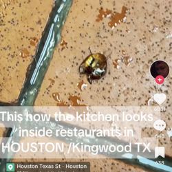 Big City Wings - Dirty Kitchen @chelseawheeler88 exposed this place. Bugs and more