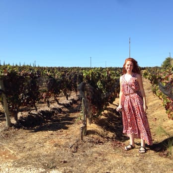 Monte da Casteleja - Wineries Near Me - Lagos, 08 Monte da Casteleja - Wineries Near Me - Lagos, 08