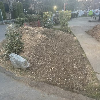 Nate's Junk Removal & Excavation - After they left my yard a pile of chip from stump grinding and won't clean it up. - Junk Removal & Hauling Near Me Nate's Junk Removal & Excavation - After they left my yard a pile of chip from stump grinding and won't clean it up. - Junk Removal & Hauling Near Me