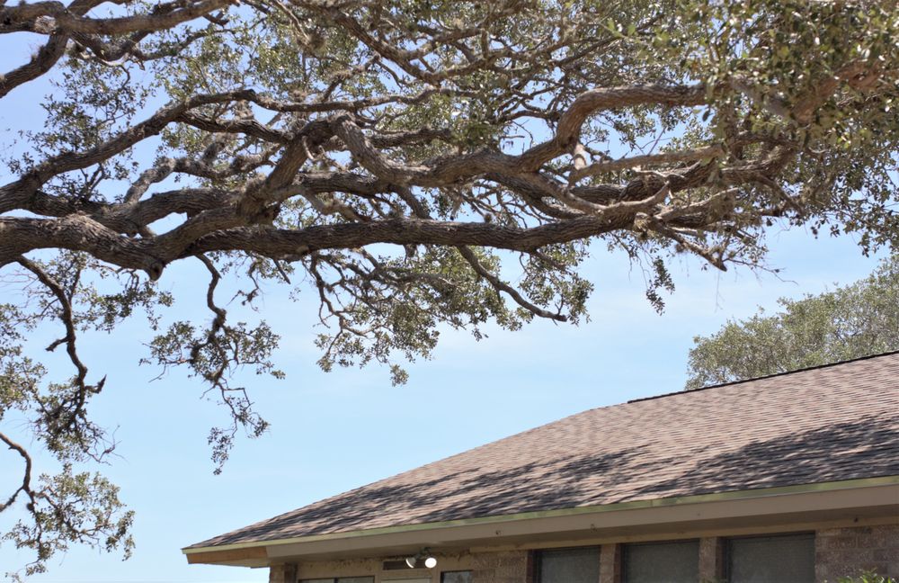 Slide of Bayfront Roofing & Construction
