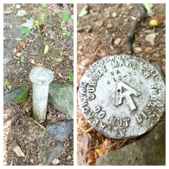 Raven Rocks Hike - Appalachian trail marker found on the descent to Raven Rocks Hollow Stream - Hiking Near Me - Bluemont, Virginia Raven Rocks Hike - Appalachian trail marker found on the descent to Raven Rocks Hollow Stream - Hiking Near Me - Bluemont, Virginia