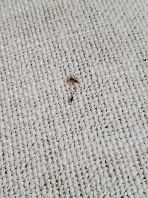 Crate & Barrel by null