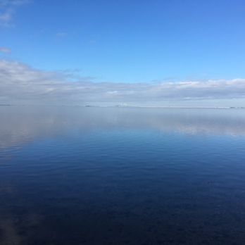 Emerson Point Park - Looking towards the Skyway Bridge - Parks Near Me - Palmetto, Florida