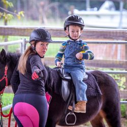 Healing Hands Horsemanship