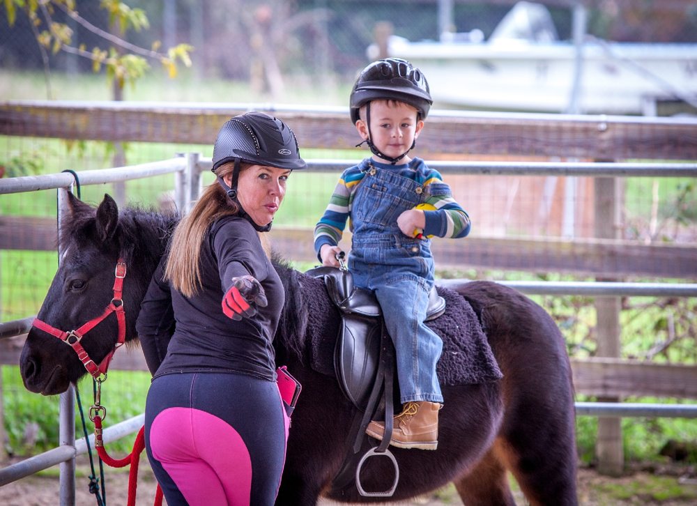 Healing Hands Horsemanship - equestrian in Gardnerville Ranchos, NV