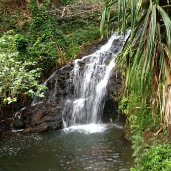 Queen's Bath - Small waterfall during the muddy hike - Landmarks & Historical Buildings Near Me - Princeville, Hawaii