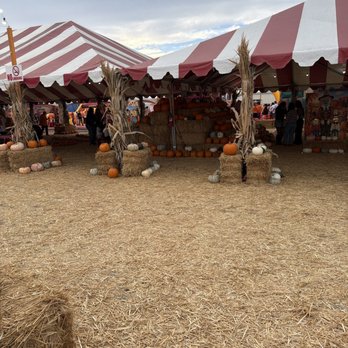 Commerce Pumpkin Patch by Taghavi Farms - Pumpkin Patches Near Me - Commerce, California