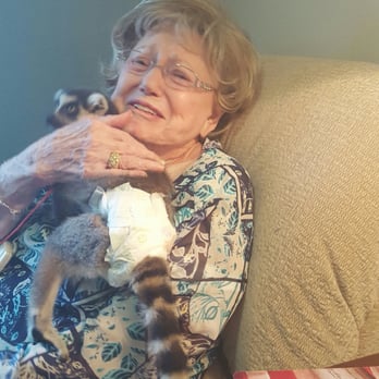 Wild Things Zoofari - Senior Assisted Living Party - Petting Zoos Near Me