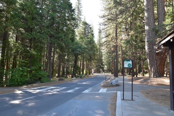 Yosemite Conservation Heritage Center by null