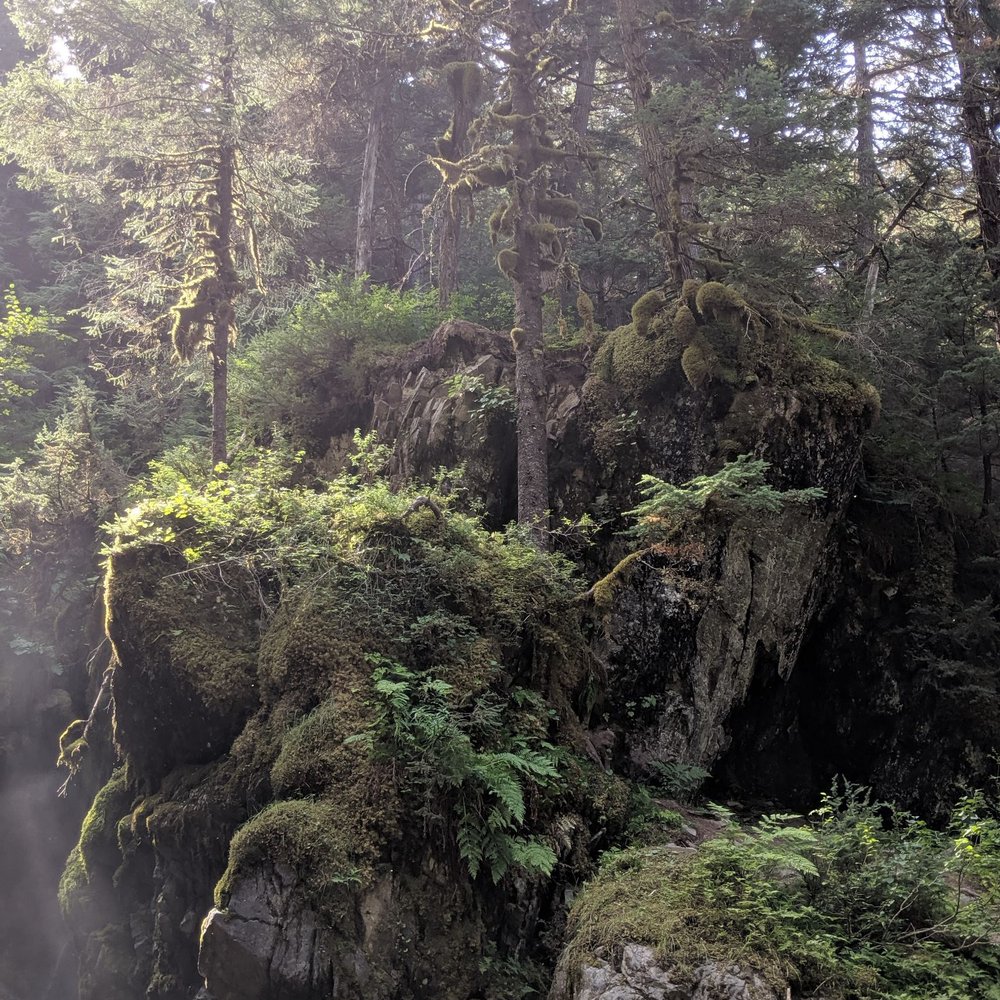Virgin Creek Falls - Hiking Near Me - Anchorage, Alaska Virgin Creek Falls - Hiking Near Me - Anchorage, Alaska