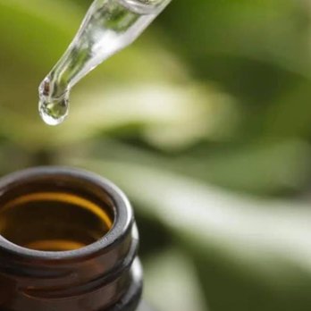 The CBD Store - Can't come to one of our stores? Don't worry! Check out our selection of CBD products on our online store! - Vitamins & Supplements Near Me - Loveland, Colorado The CBD Store - Can't come to one of our stores? Don't worry! Check out our selection of CBD products on our online store! - Vitamins & Supplements Near Me - Loveland, Colorado