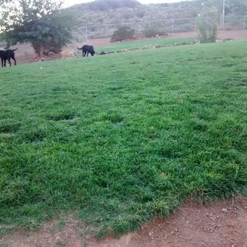 Hurricane City Dog Park - Dog Parks Near Me - Hurricane, Utah Hurricane City Dog Park - Dog Parks Near Me - Hurricane, Utah