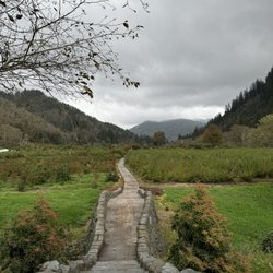KIlchis River Pumpkin Patch & Corn Maze