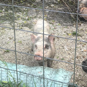 West Coast Ranch - Zoos Near Me - Naples, Florida
