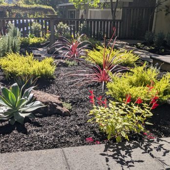 Bountiful Botanicals, Inc. - Landscaping Near Me - Oakland, California Bountiful Botanicals, Inc. - Landscaping Near Me - Oakland, California