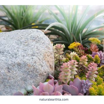 Natural Earth - Southern California Landscape Design - Landscaping Near Me - Claremont, California Natural Earth - Southern California Landscape Design - Landscaping Near Me - Claremont, California
