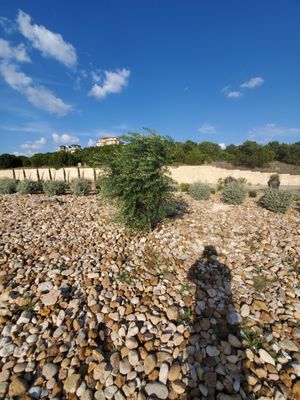 MJ Landscapes and Construction