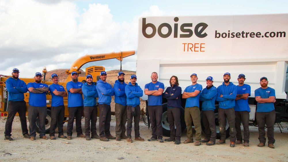 BOISE TREE Updated September 2024 30 Photos & 18 Reviews Boise