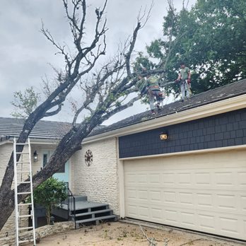 5 Stars Landscape - a man on the roof of a house - Landscaping Near Me - Austin, Texas 5 Stars Landscape - a man on the roof of a house - Landscaping Near Me - Austin, Texas