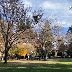 McKenzie Park