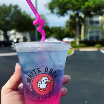 White Duck Espresso - White peach lotus - Coffee & Tea Near Me - New Port Richey, Florida White Duck Espresso - White peach lotus - Coffee & Tea Near Me - New Port Richey, Florida