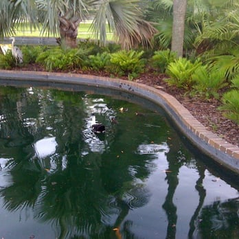 Lake Eola Park - Parks Near Me - Orlando, Florida