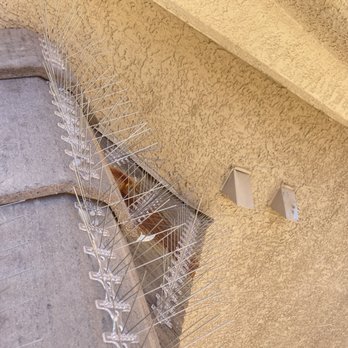 Blue Fire Pest Control - Roof shot - Pest Control Near Me - Las Vegas, Nevada Blue Fire Pest Control - Roof shot - Pest Control Near Me - Las Vegas, Nevada